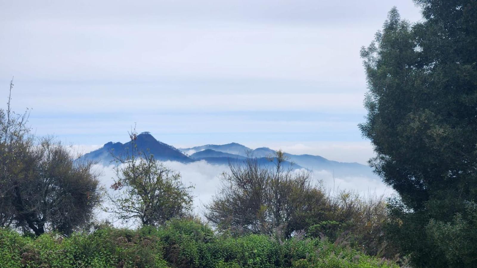 Fabhotel Tranquil Heights Kodaikanal Eksteriør bilde